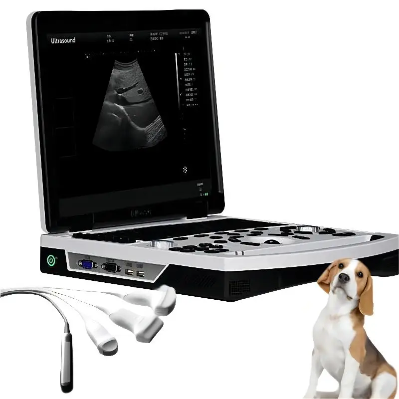 Dawei vet ultrasound machine 12.1 inch veterinary ultrasound scanner