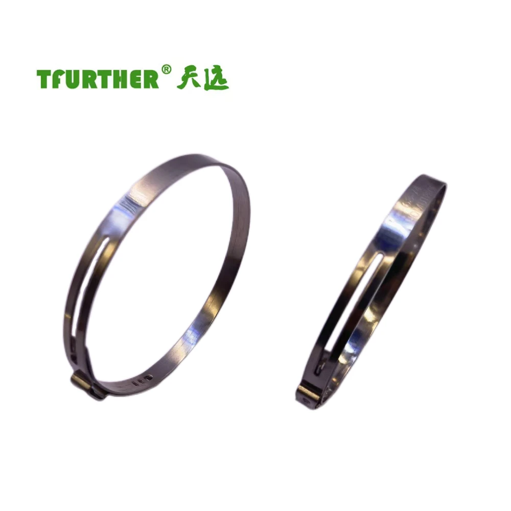 Popular products 2024 single ear hose clamp 304 stainless steel single ear adjustable hose clamp ear tube clamp