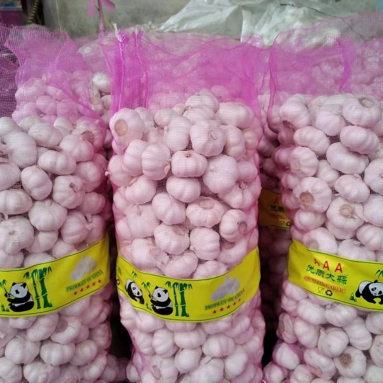 Китай чеснок цена в дешевом 4 5 см-6 см/упаковка коробке/мешок для импорта/экспорта-новое поступление китайского свежего чеснока оптом