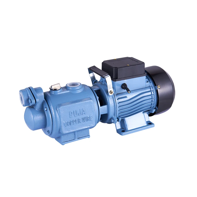 ZGD1100 High Pressure Self Priming Garden Pump