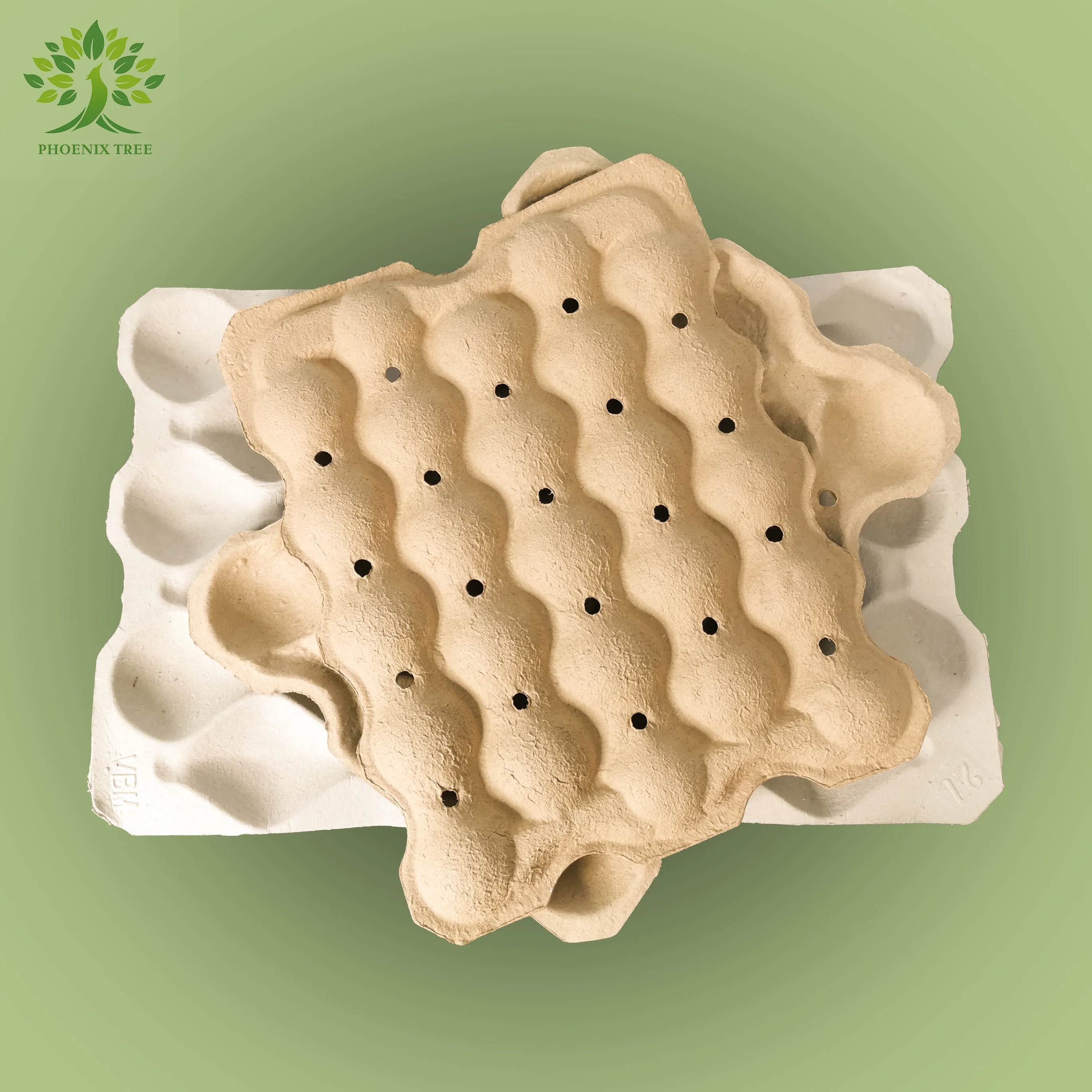 PTPACK tray for fruit storage fruit containers recyclable Customized Pulp Molded Food Packaging