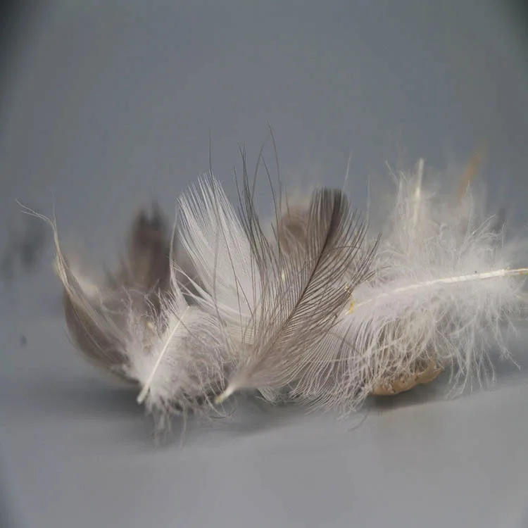 
China Made Wholesale High Quality Cheap 100% Washed Goose Feather Down Natural grey Goose Feather 