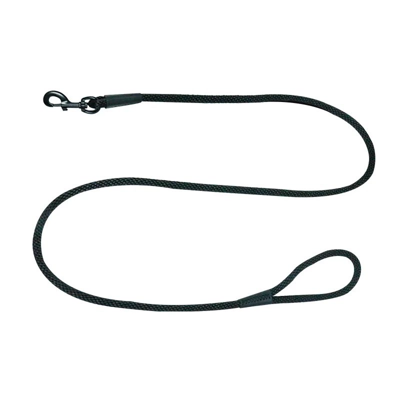 Dog Leash PP Polyester Nylon Cotton Webbing Organic Hemp with Rivet Pattern Sustainable Solid Design Running SS 10 Colors Option