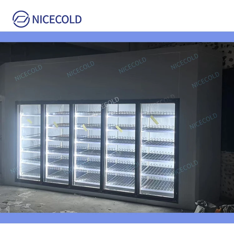 New Trend Glass Door Display Cold Room Walk In Cooler Freezer for Flower Beverage Drinks