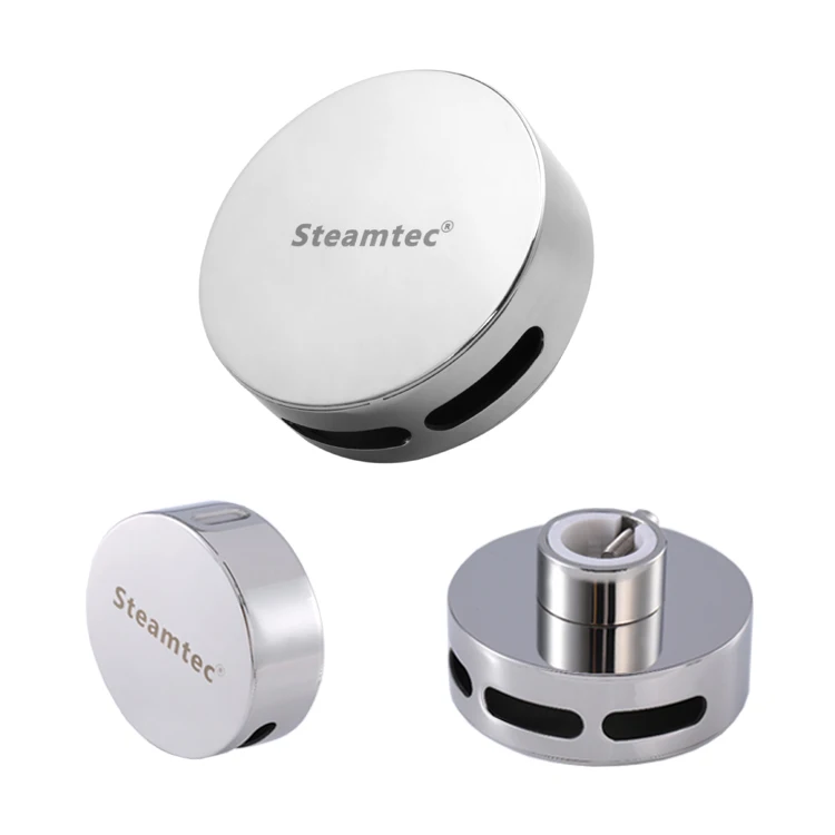 Factory Price Stainless Steel Steamer 4kw Auto-Descaling Generator For Shower Sauna Room Accessories Hammam Mini Engine Turbine