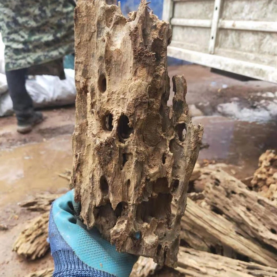 
Aquarium Decoration Driftwood Hollow Hoeycomb Porous Shrimp Wood Reptiel Shrimp Shelter Landscaping 