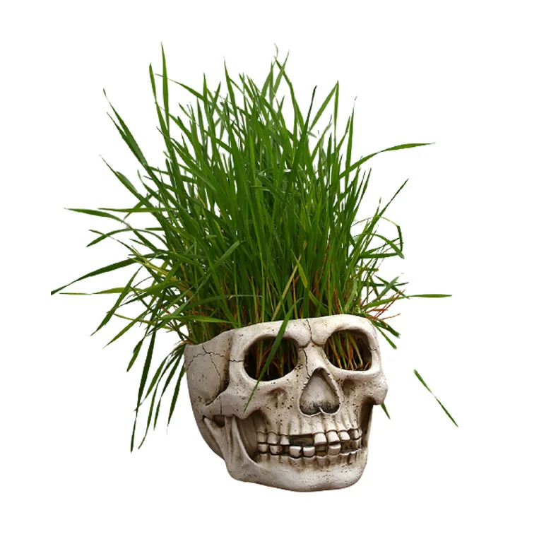  Прямая продажа с фабрики Hallowen новый цветочный горшок из смолы для растений креативные домашние/уличные украшения черепов
