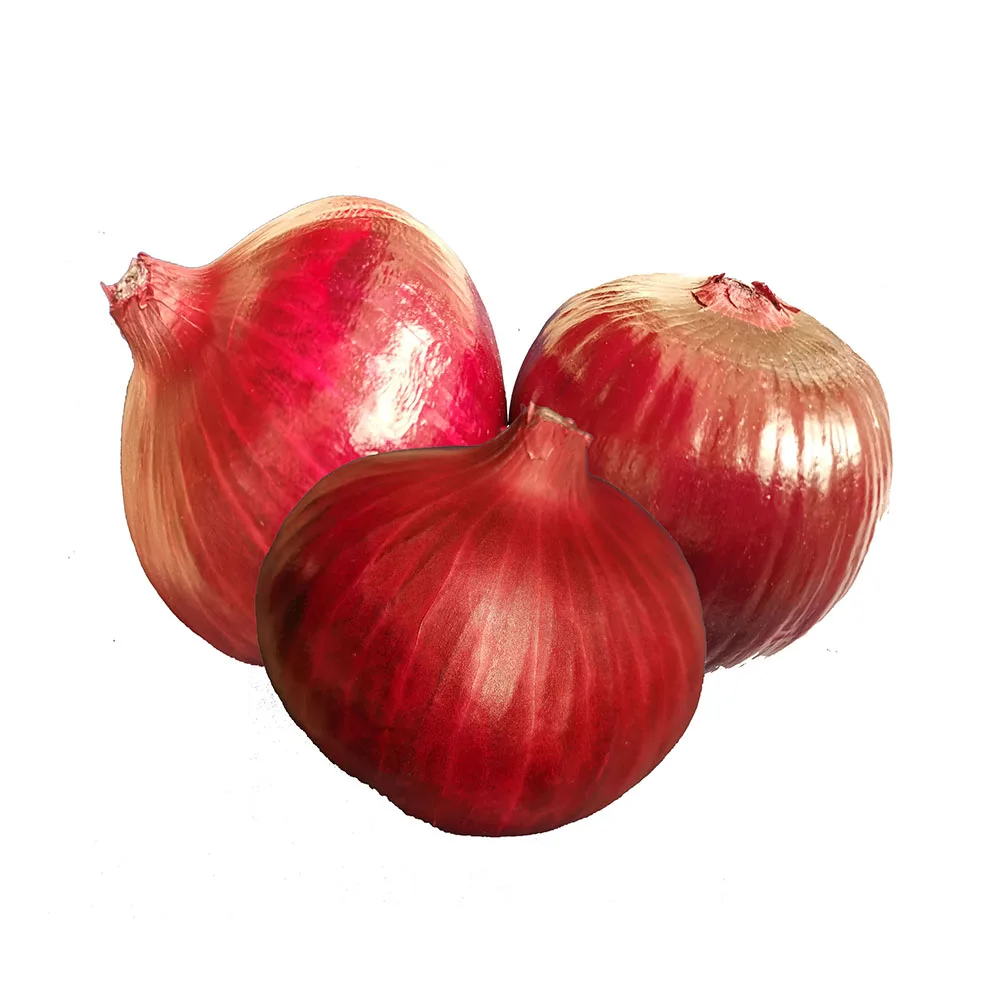 
Selling nutritious spicy and delicious onion fresh organic vegetables onion 