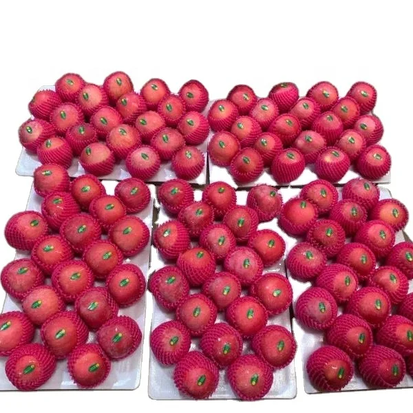 New crop Juicy Fresh Red Fuji Apple Fruit Natural Fresh Apple Manufacturers Lowest Price Red Fuji Apple