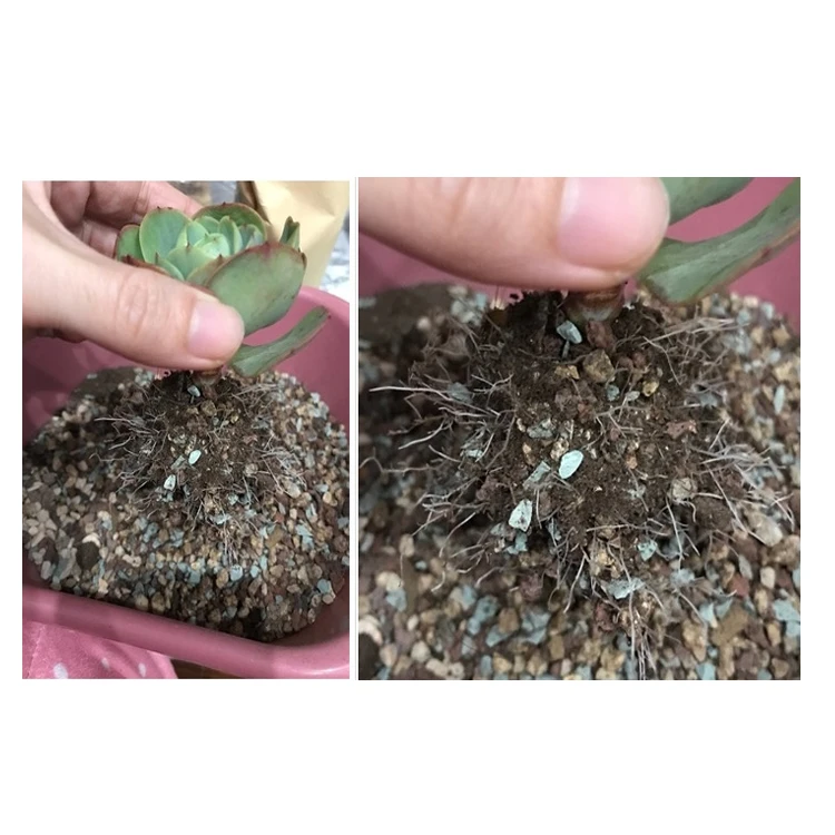 Mixed with multiple minerals zeolite powder volcanic rock maifan stone for succulent plant rainbow stone