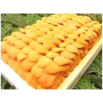 
Japan reasonable price high quality frozen sea urchin for wholesale 