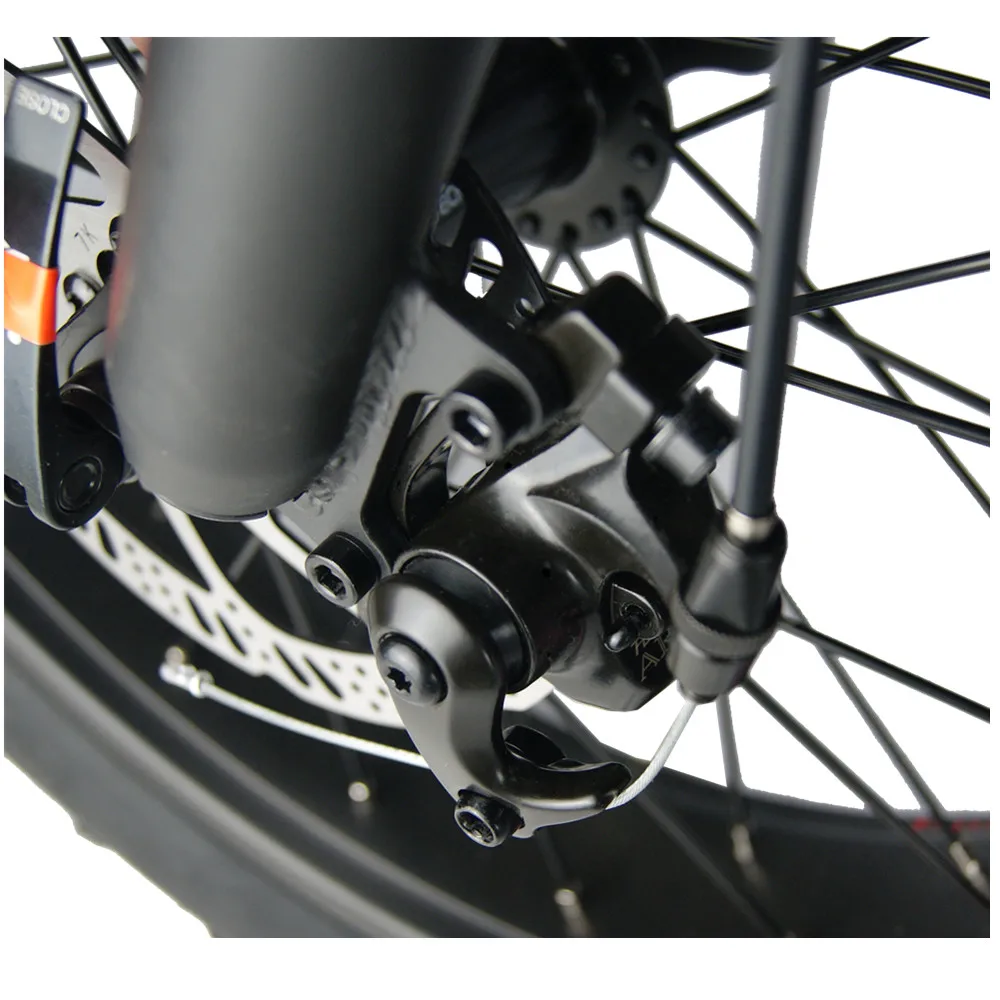 E Bicycle 750 Watt 20 Inch Fat Tire Ladies Folding Electric Bike With Lithium Battery and Pedal Assist System