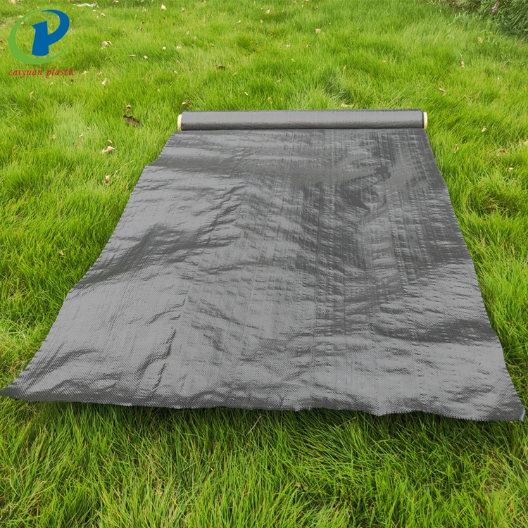Weed Control Fabric Rolls / Mulch weed control mat/pp woven ground cover