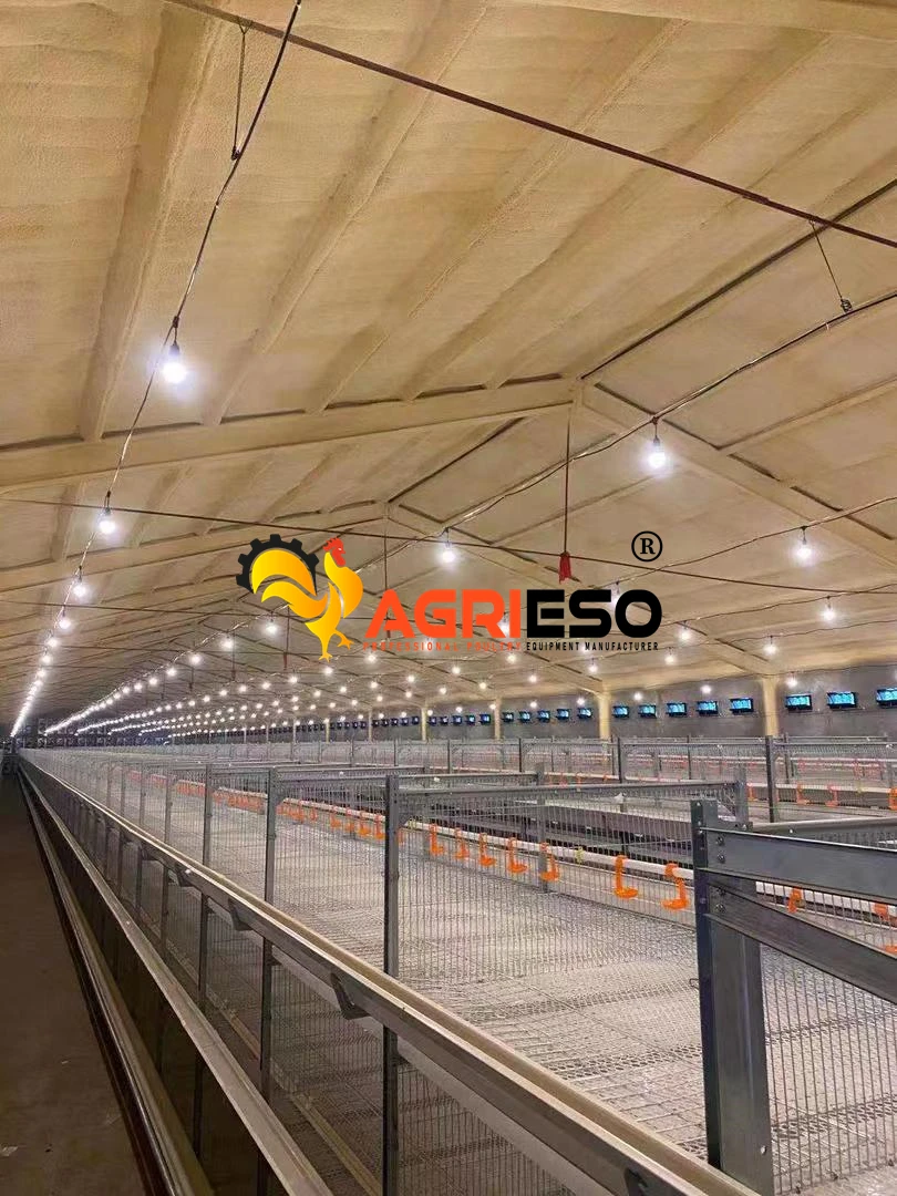 Agrieso Automatic Poultry Equipment PP Plastic High Quality Chicken Broiler Feeder Pan Feeding Line System For Chicken