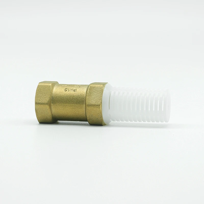 BT5003 high quality brass vertical spring check valve