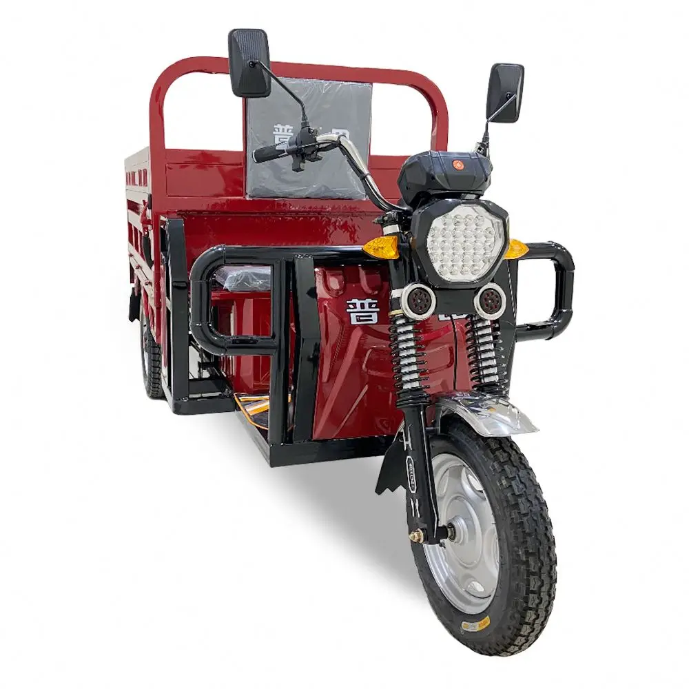 Baaskiil Closed Foton Electric Tricycle From China Manufacturer