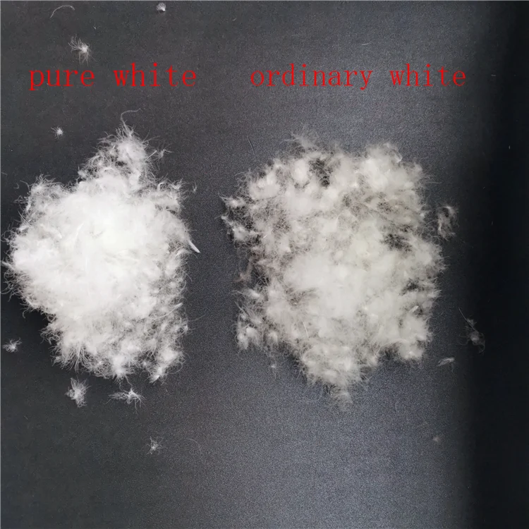 
95% Pure White Big Washed Muscovy Duck Feather Down for Duvet American Standard 