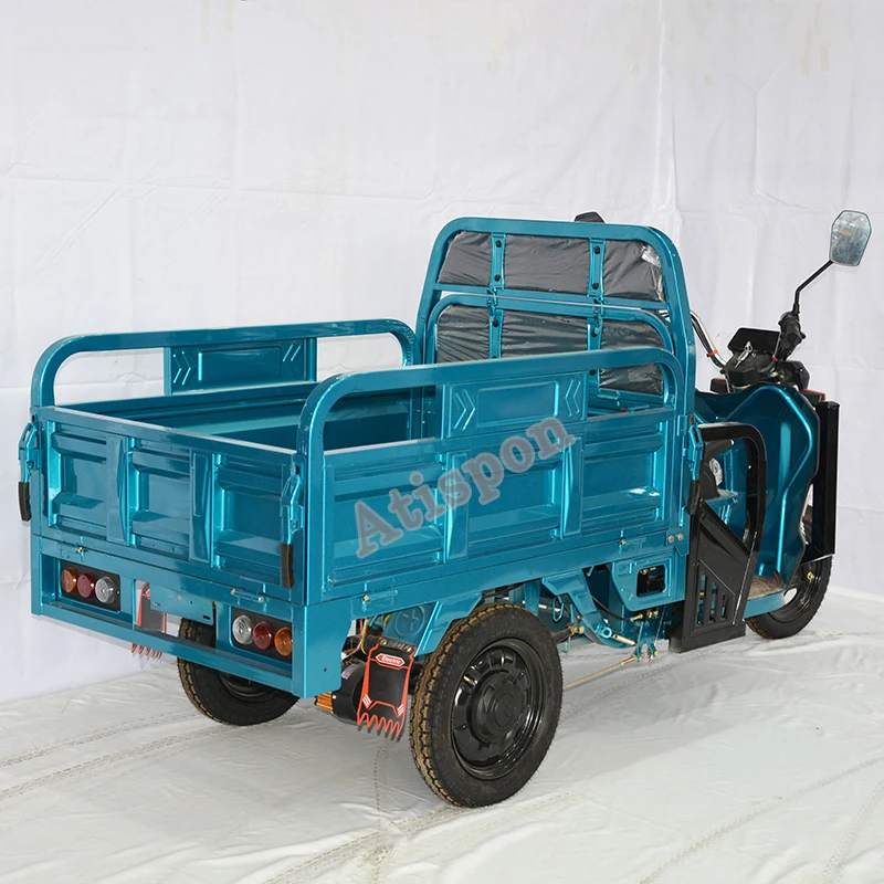 High Quality 650W Motos 3 Wheel Electric   Electric Motor Cycle Pedicab  800W Tricycle Motorcycle