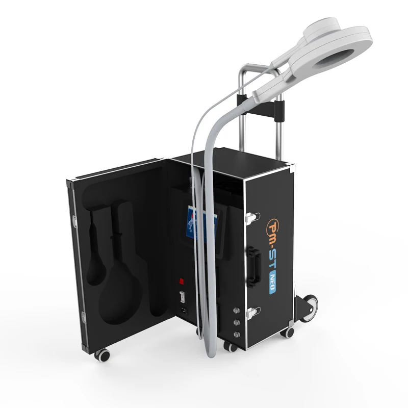 Multifunctional pmst magnetotherapy for horse arthritis treatment electromagnetic pmst neo pulse machine