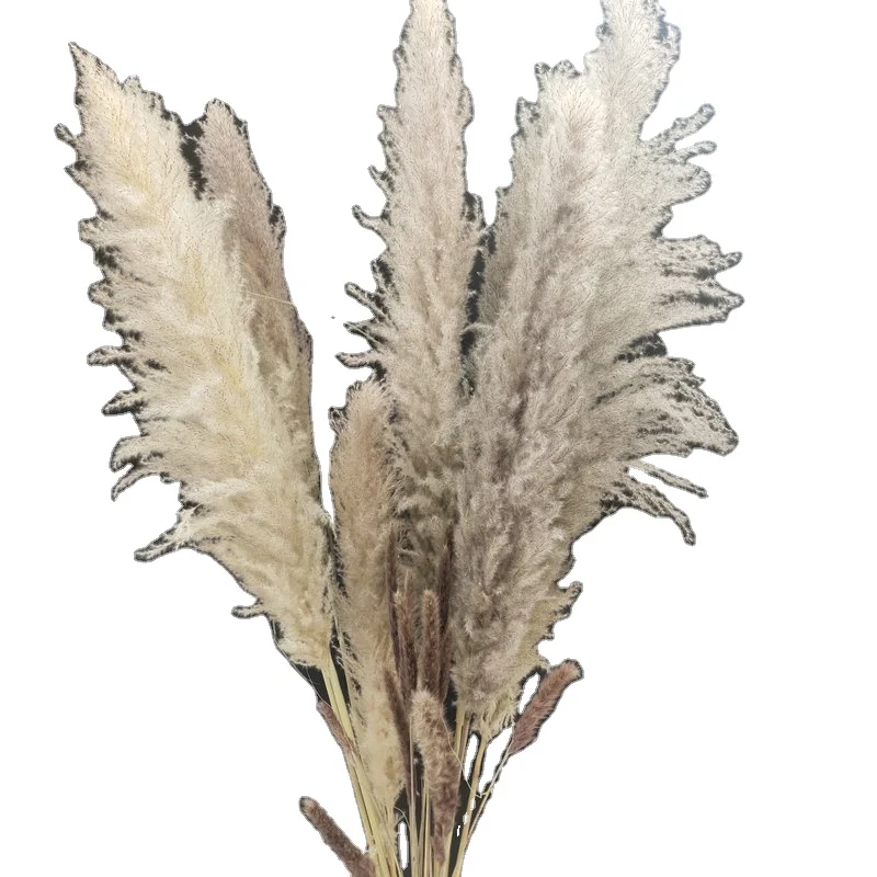 buy artificial flower artificial flowers with high quality Floral Dried Pampas Grass
