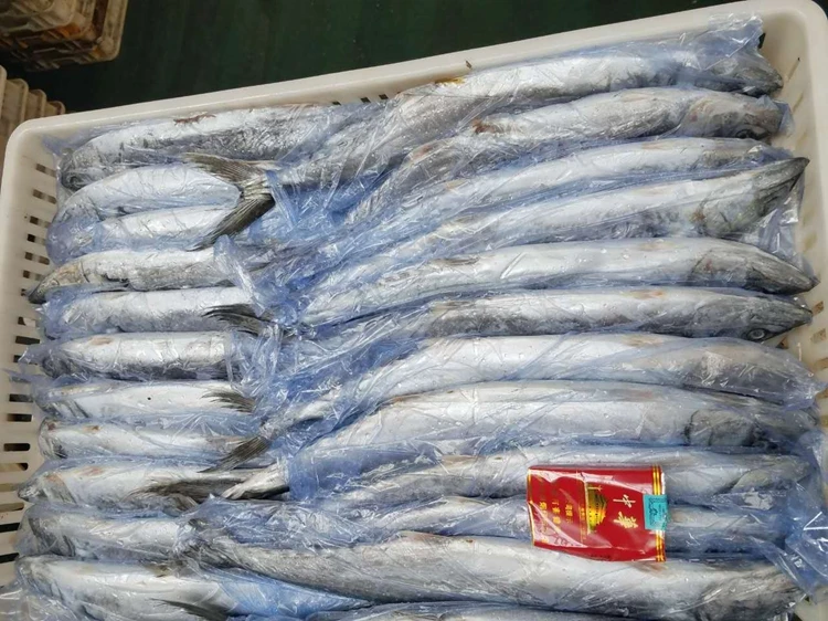 Attractive Price New Type Wholesale Seafood Spanish Mackerel Chilled Fresh Food Frozen Fish