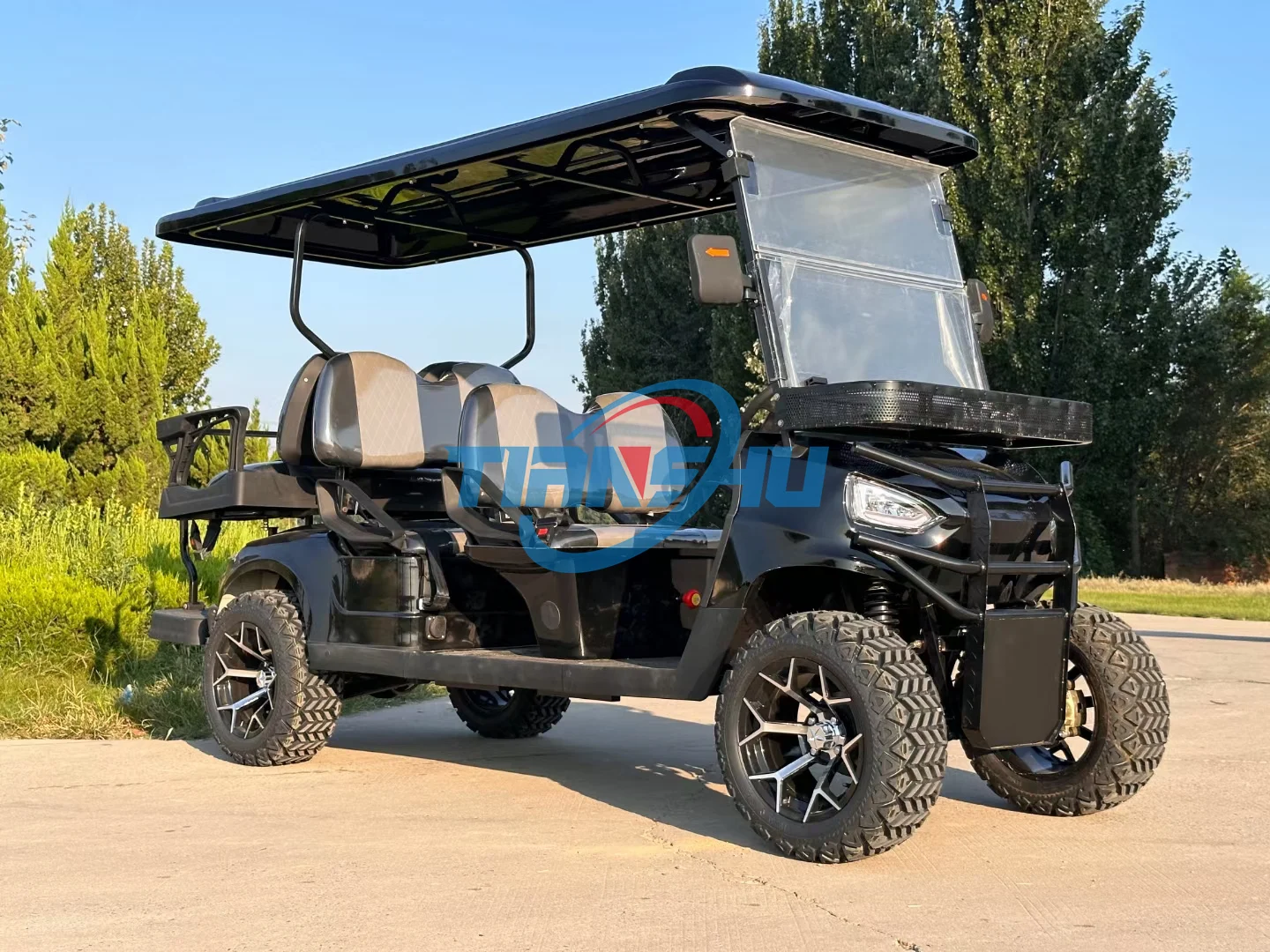 2024 New usa golf cart Club beach car electric golf buggy club electric cart for sale