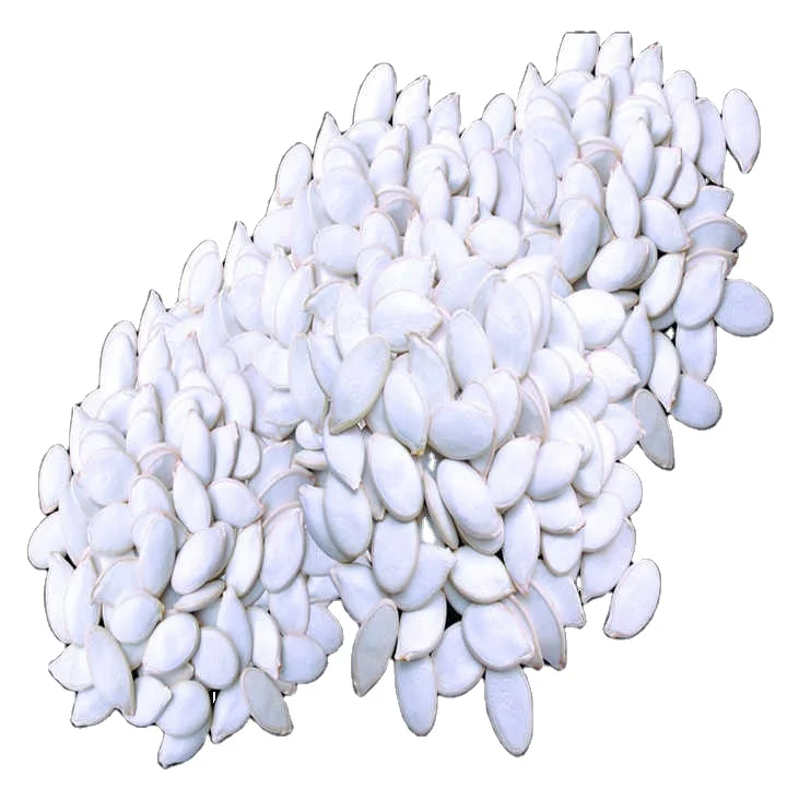 Wholesale Good Price Pumpkin / Sunflower / Water Melon Seeds and Kernels