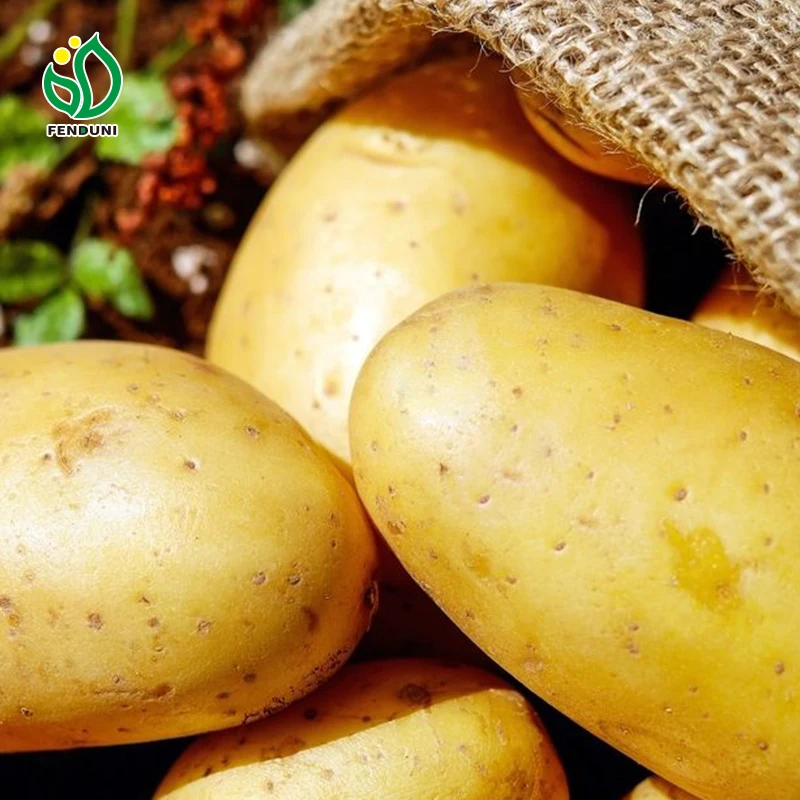 CHINA SUPPLIERS OF POTATOES,Buy potatoes from China wholesalers and exporters find potatoes
