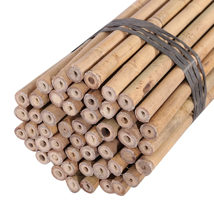 Chinese bamboo pole dia.20/22mm x 150cm for plant support
