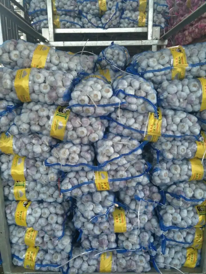 Экспортные Семена Чеснока Tianqin для посадки и 2024 нового урожая один зубчик Черного по низкой цене