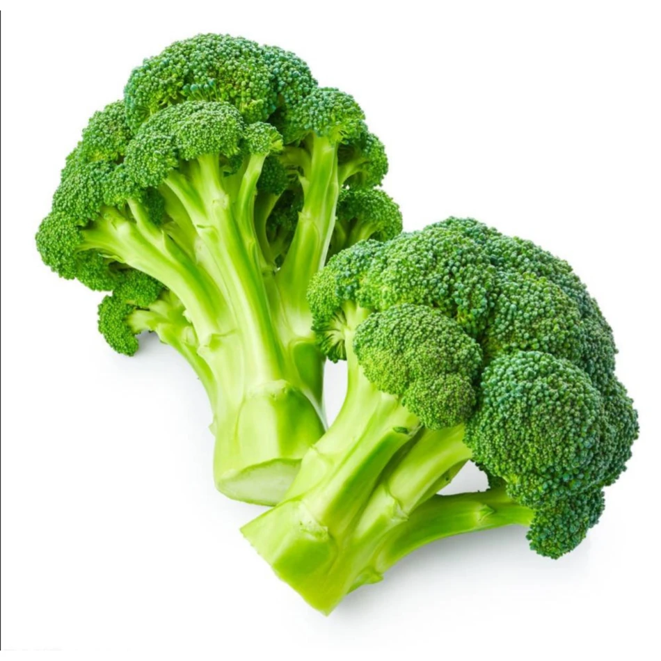 Chinese wholesale New crop high quality bulk fresh vegetable broccoli