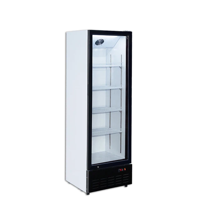 Fan Display Refrigerator Portable Gas Compressor Painting Cooling Top Wine And Beverage Coolers