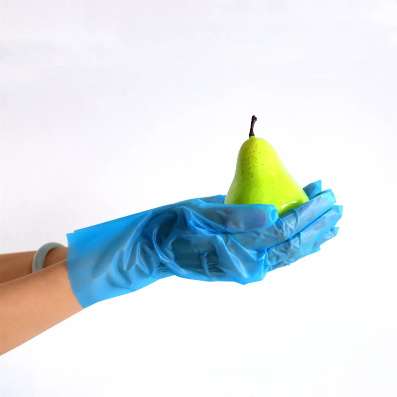 Household Kitchen Use Transparent Polythene Gloves Food Grade Waterproof Disposable TPE Gloves