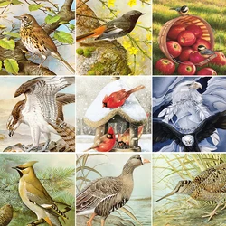 Handmade Crafts Diamond Painting DIY Full Drill Peacock Digital Painting by Numbers Private Gift Painted by Digital Art Pictures