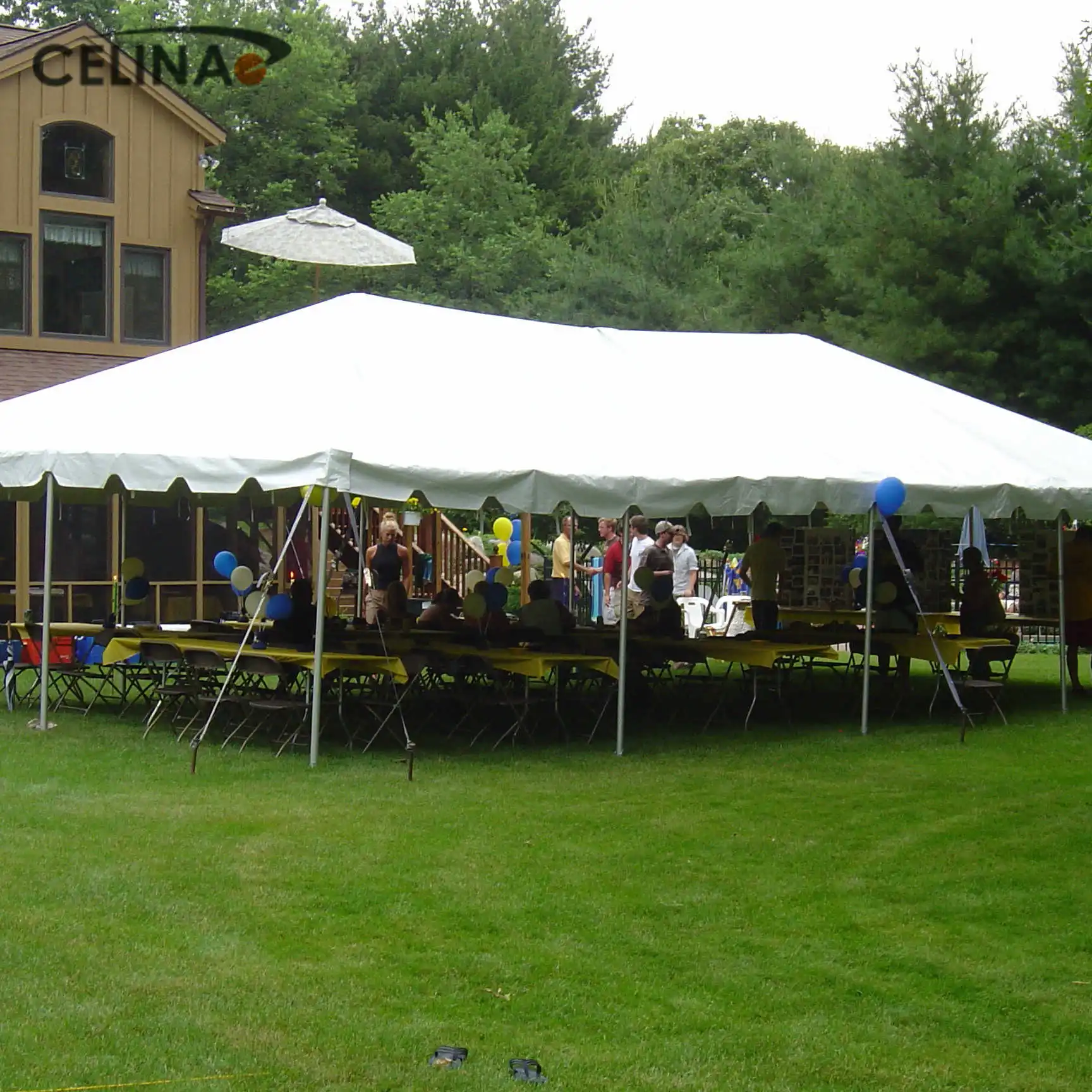 Celina 20ftX40ft(6x12m) Hot Selling Wedding Tent With Low Price