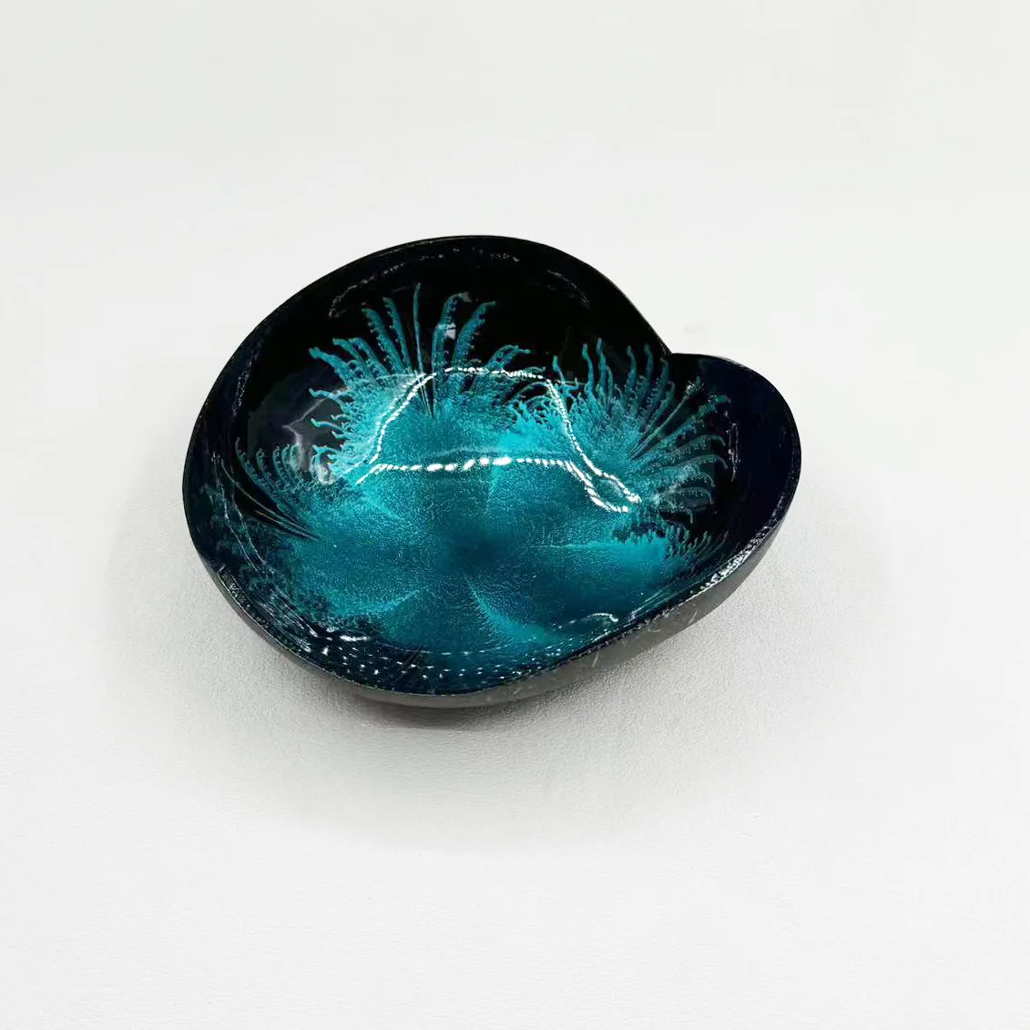 ,Storage Bowl,Candy Container,Nuts Holder Desktop Organizerfor Home Office Living Room(Mixed Colors)Lacquer Coconut Shell Bowl