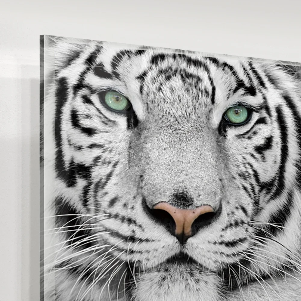 Hot Sales Crystal Clear Animal Black&White Tiger Acrylic Wall Art Prints Canvas Art Work Acrylic Painting Oil Painting for House