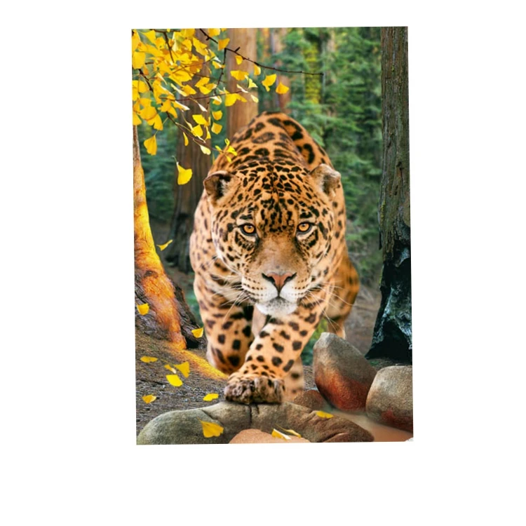 
high quality bear lenticular 5d pictures 