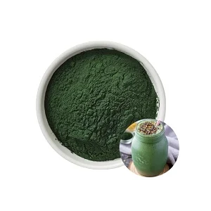 Food Grade Customize Private Label Nutrition Supplement Organic High Protein Spirulina Tablet 250/500mg