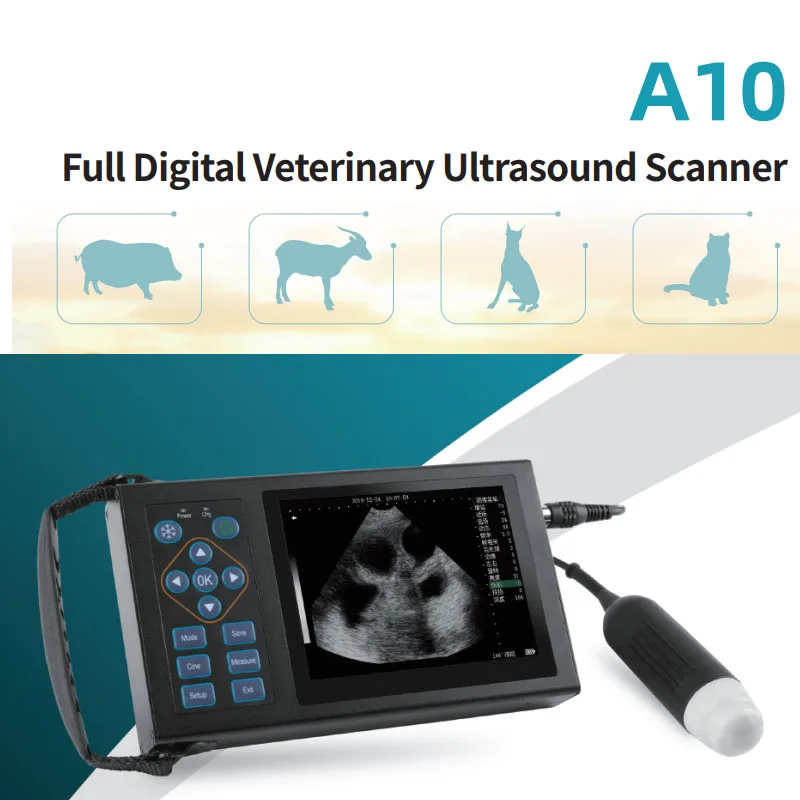 Hand-carried Veterinary Diagnostic Ultrasound Diagnostic System Equipments Full Digital Veterinary Ultrasound Scanner A10