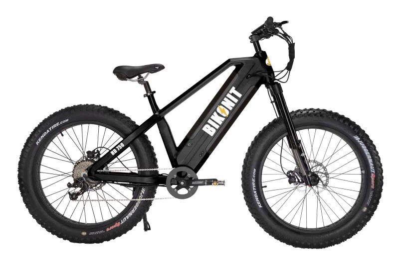 2020 newest dual battery 48v 1000w Bafang G510 M620 electric fat bike,electric bicycle with 120km long range