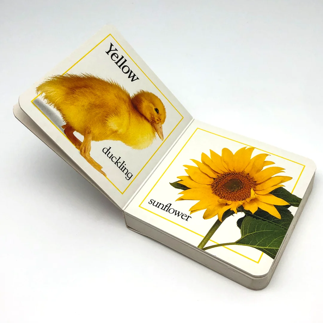 educational board book