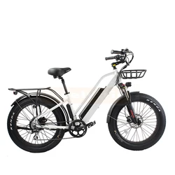 electric mountain bike 7 speed electric bicycle Aluminum electric bike/ 1000w electric bike mountain bike/electric bike