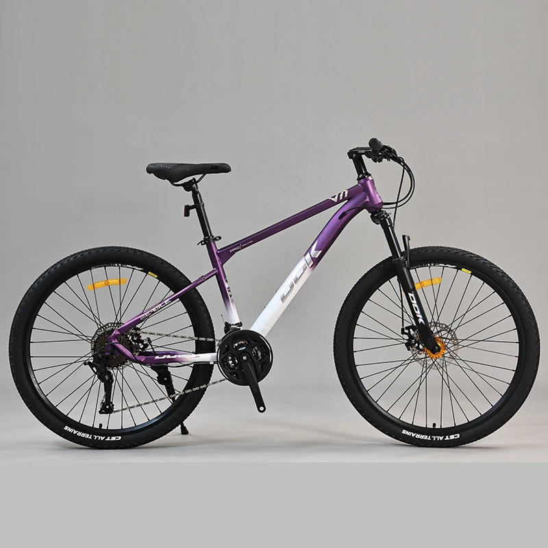 High quality wholesale 21 speed customized cheap adult mountain bike 26/27/5/29 bicycle