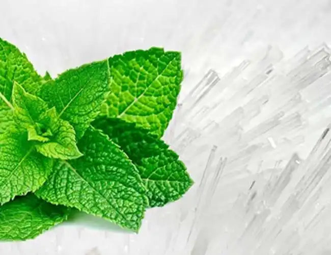 Кристаллы ментола 99.5% DL-ментола кристаллическое твердое вещество C10H20O 25 кг Упаковка барабана высокочистый Кристалл natur Menthol CAS 89-78-1