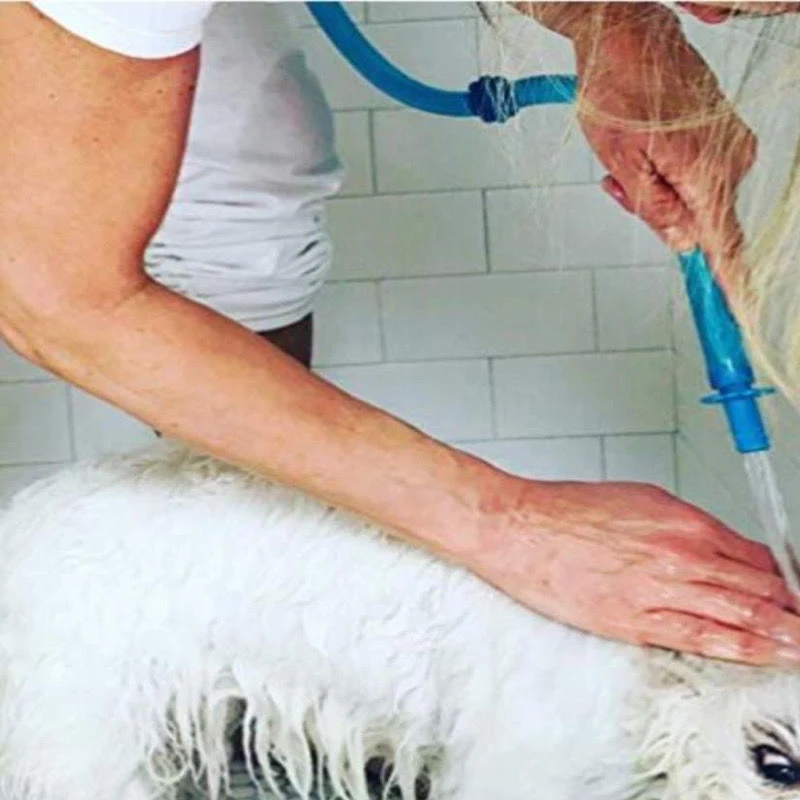 AFOND, No Installation, Handheld Showerhead Attachment Hose for Shower and Sink. Detachable Shower Head Sprayer