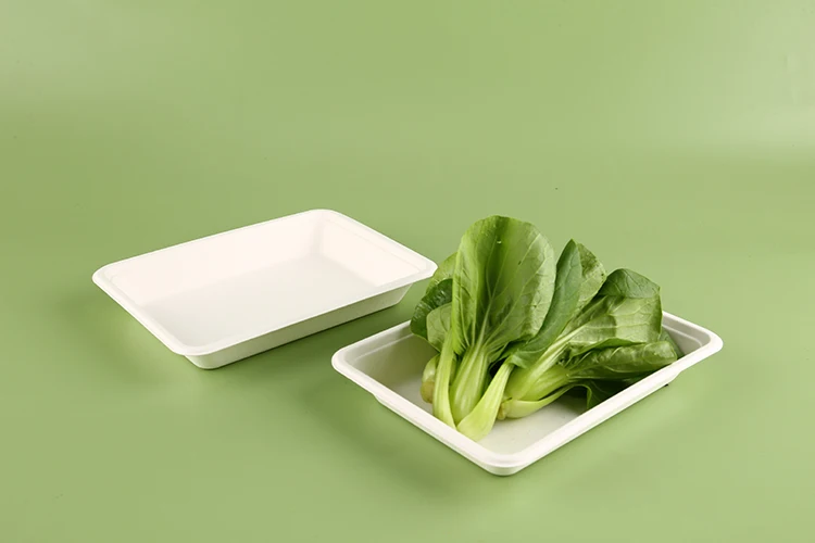 Eco Friendly Recycle Pack  Disposable Ecopack Biodegradable Freshware Meal Ecopack Food Packaging Meal Tray
