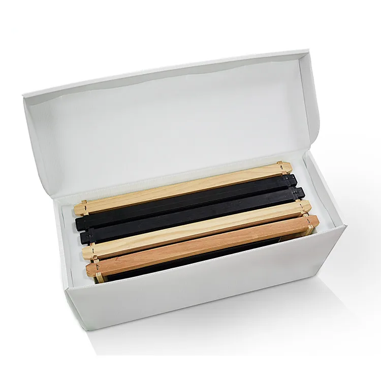 Plastic Bee Hives 5 Frames Nuc Box For Beekeeping Equipment Corflute Beehive Apicultura