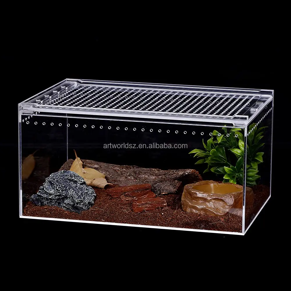 Reptile Breeding Box Terrarium Cage for Insect Tarantulas Amphibians Caterpillars Snail Clear Acrylic Reptile Feeding Box