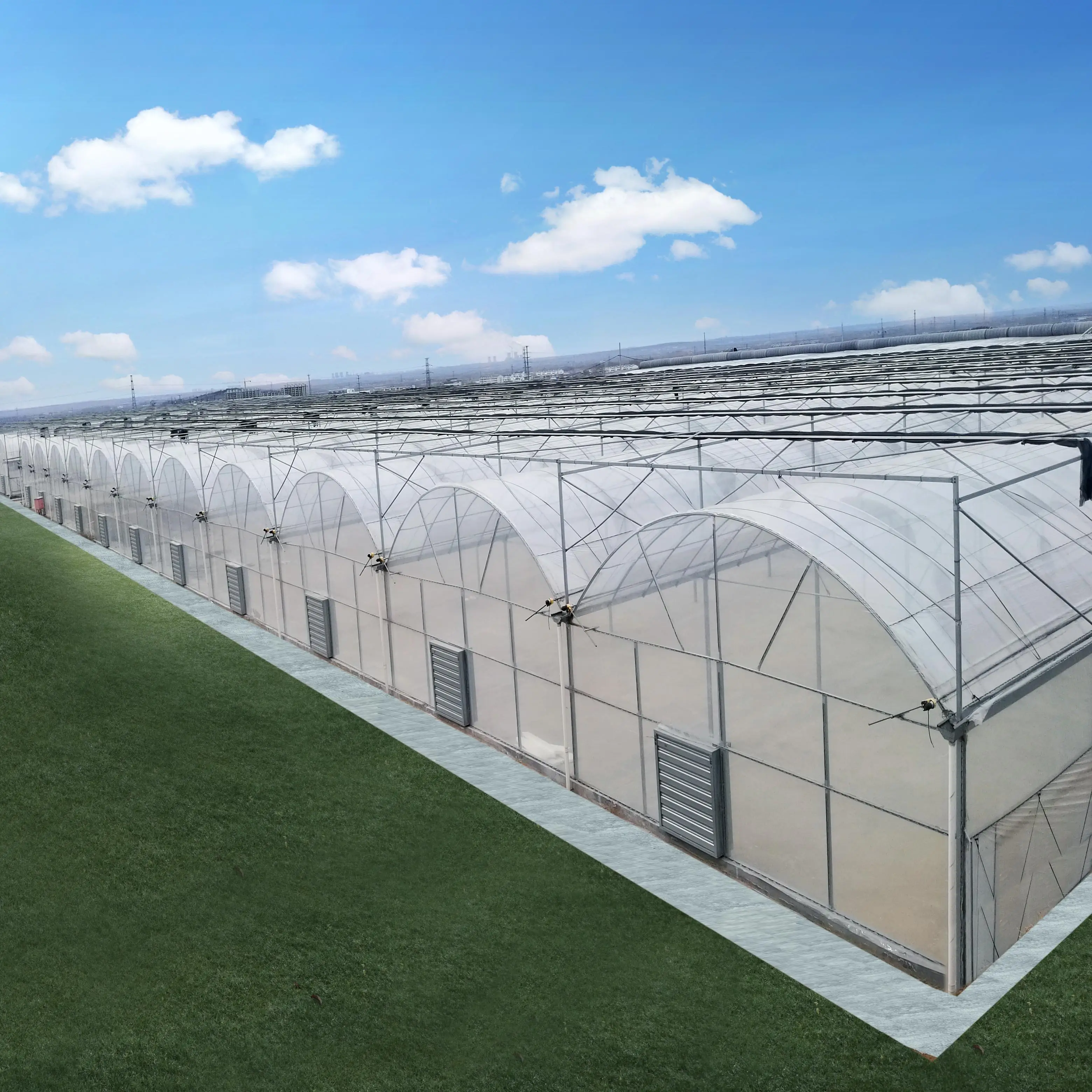 Galvanized Steel Frame  Multi-span PE Film Greenhouse For Agriculture Low Cost Tunnel greenhouse For Flowers plant